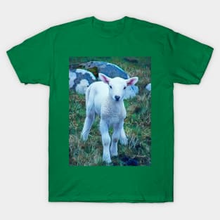 The Lamb T-Shirt